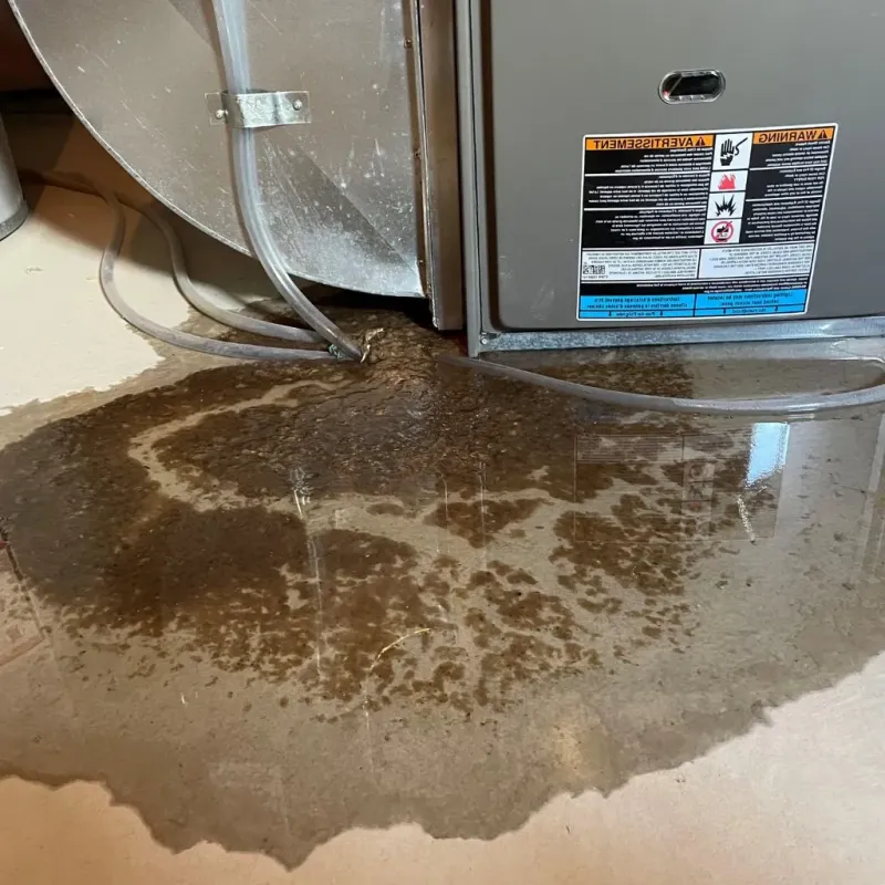 Pipe Burst and Leak Restoration in Cooperstown, ND